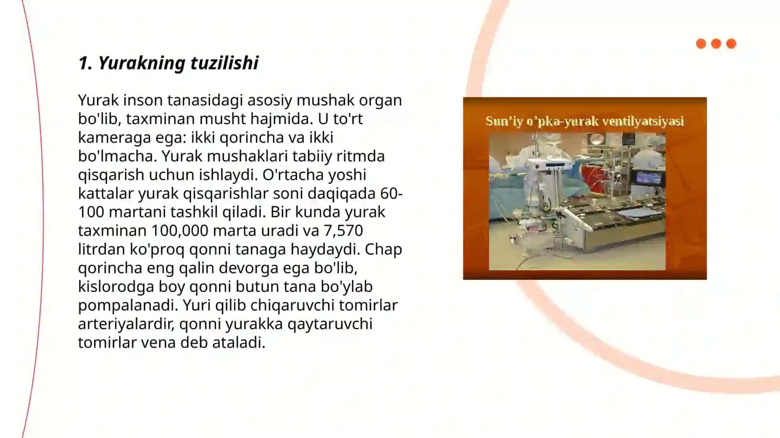 Yurak anatomiyasi 3