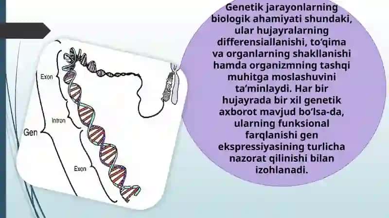 Genetik jarayonlarning tizimli nazorati 3