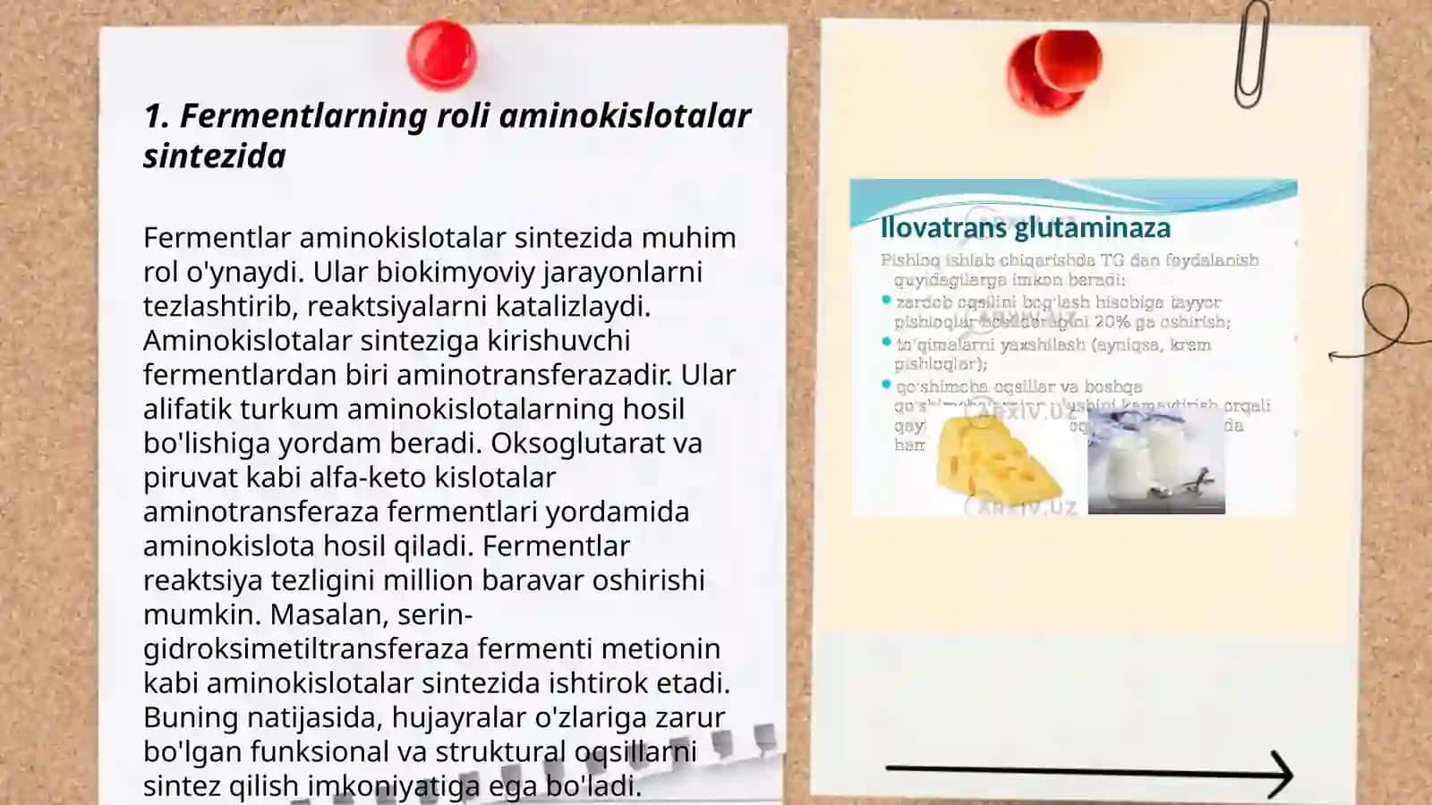 FERMENTLAR YORDAMIDA AMINOKISLOTALAR SINTEZI 3