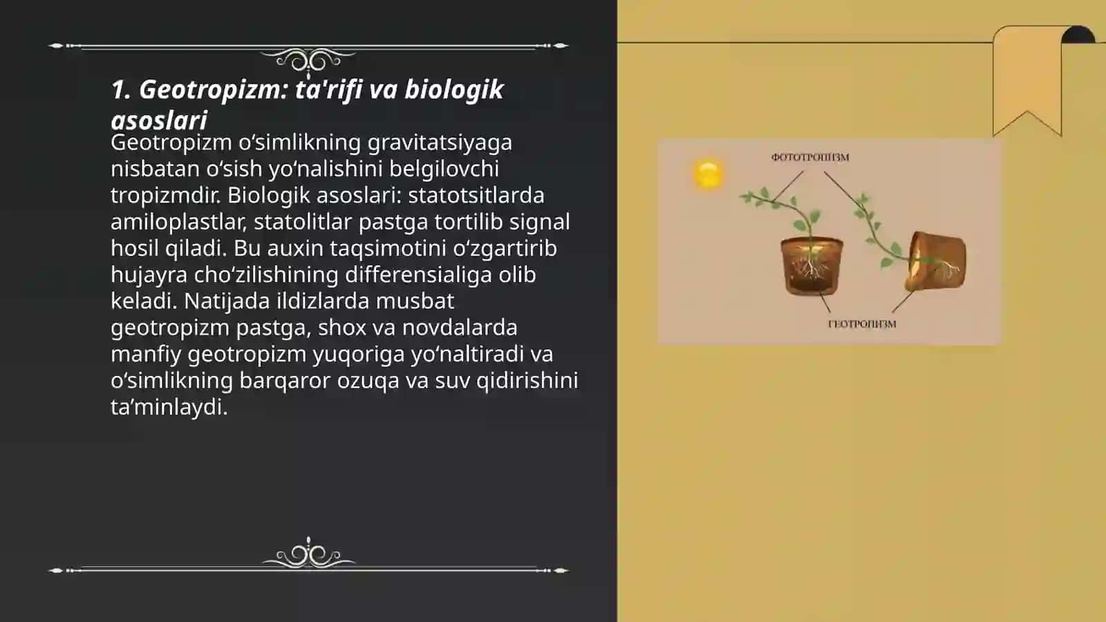 Geotropizm: ta'rifi va biologik asoslari 3