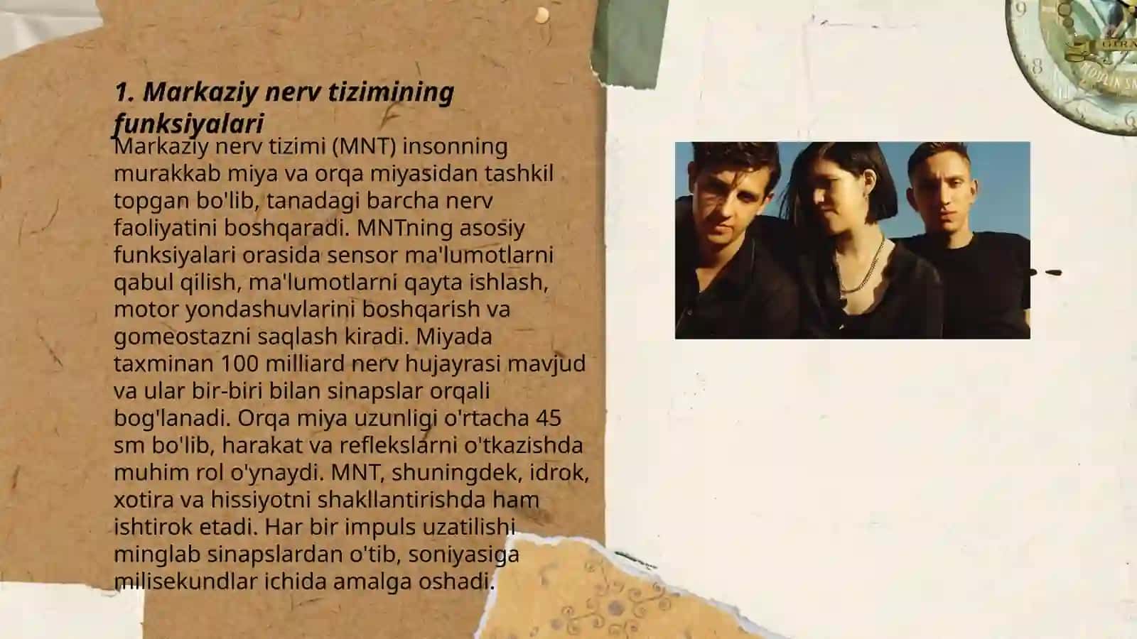 Nerv tizimining ahamiyati va gigiyenasi 3