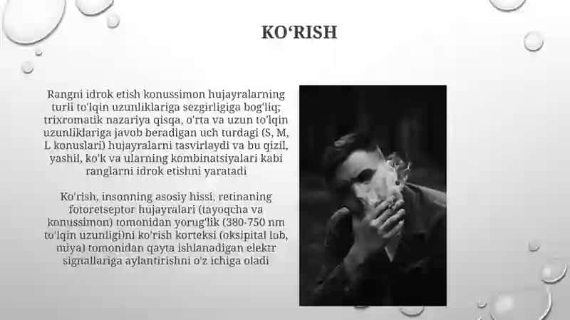 Inson sezgi organlari 3
