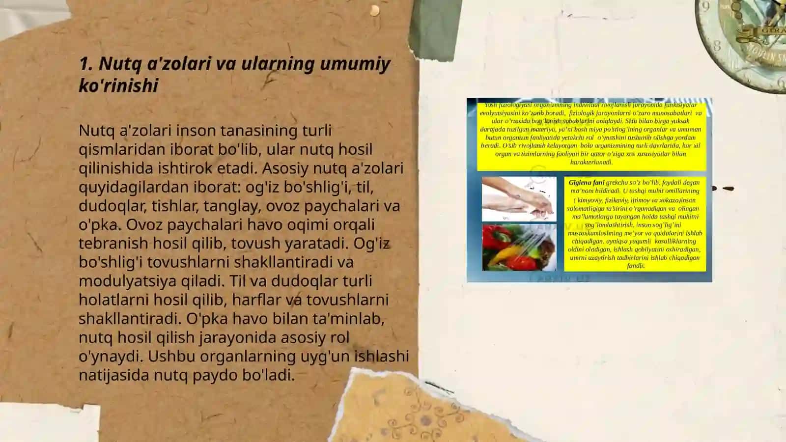 Nutq a'zolari va ularning vazifasi 3