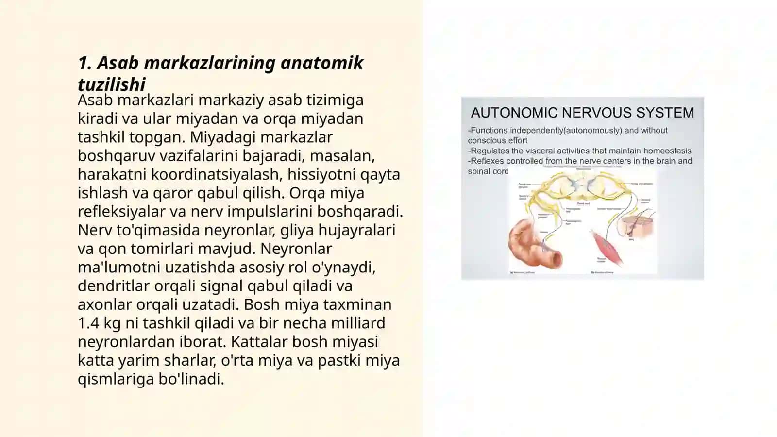 Asab markazlari xossalari 3