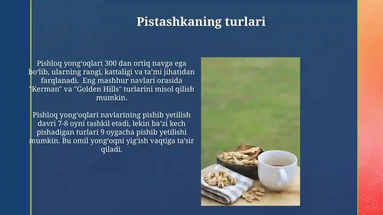 Pistashka haqida umumiy ma'lumot 3