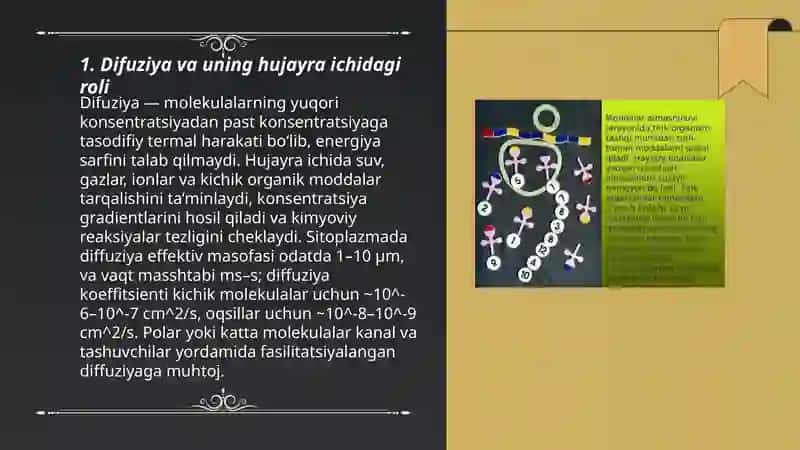 Hujayrada kechadigan moddalar almashunuvi 3
