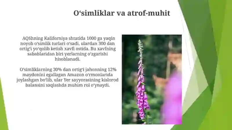 Oʻsimliklar va atrof-muhit 3