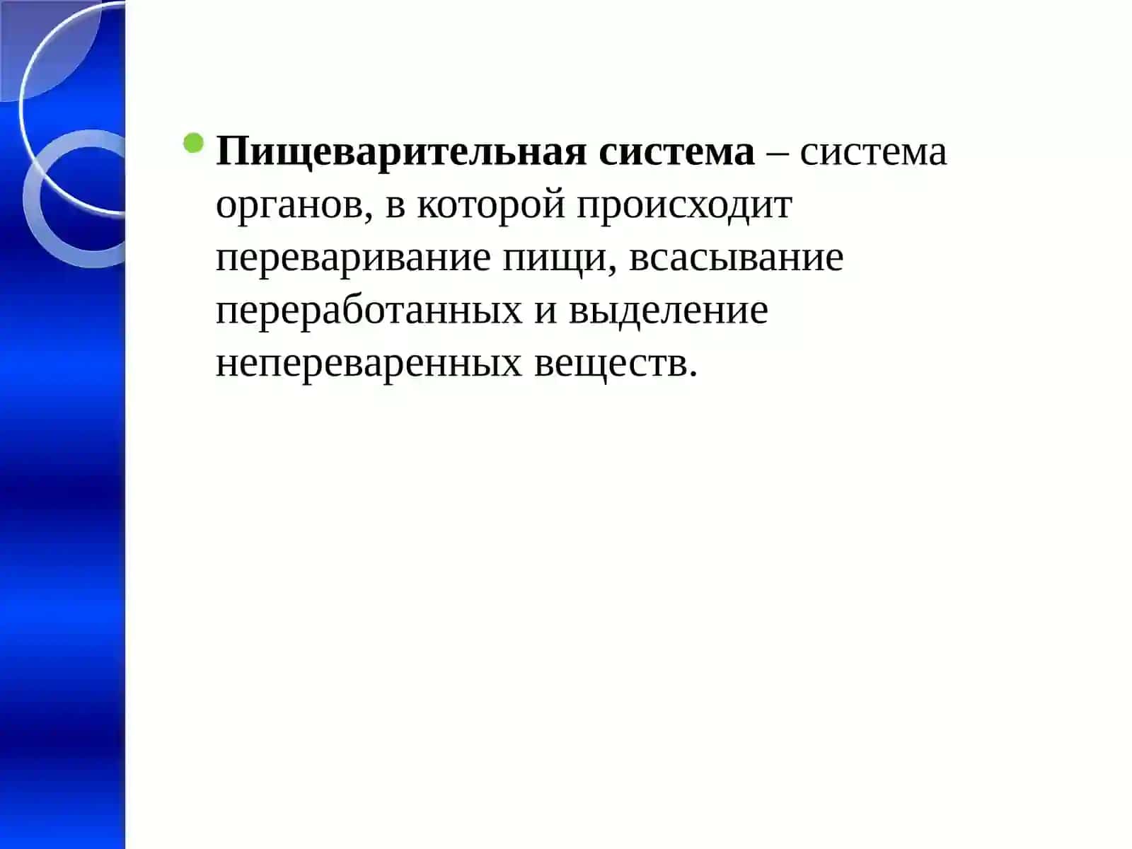 Пищеварительная система 3