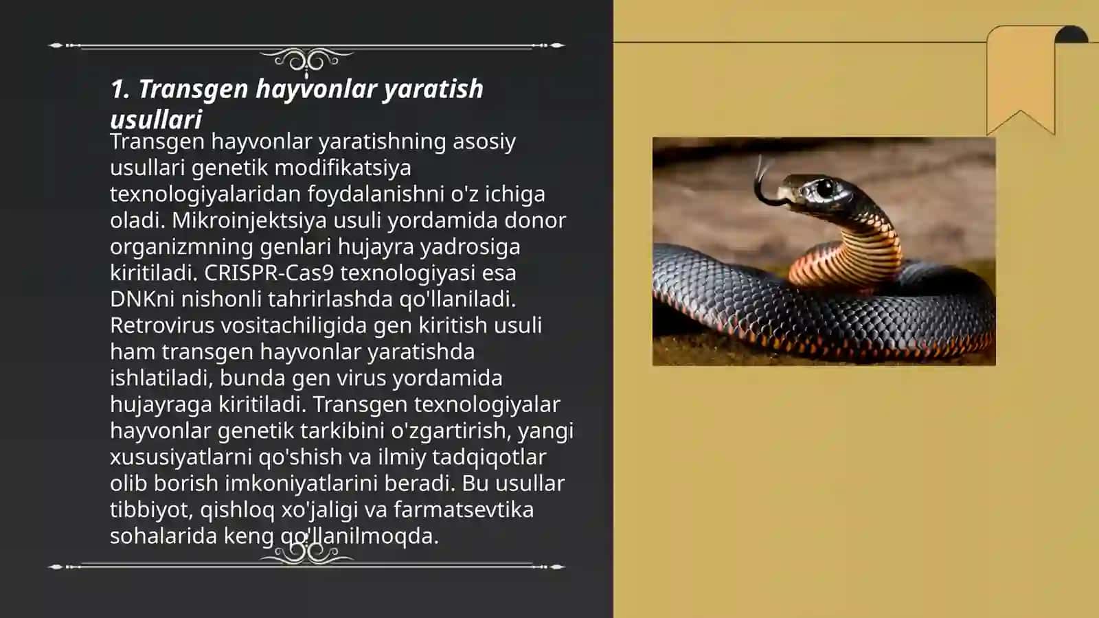 Transgen hayvonlar olinishi 3