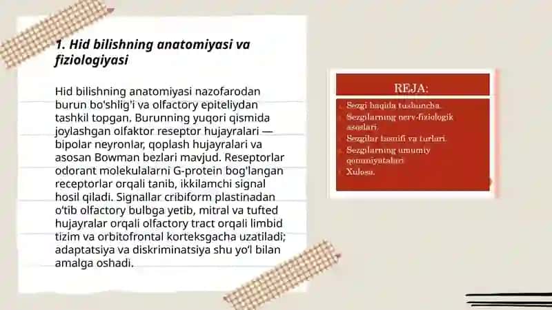 Sezgilarning ayrim turlari 3