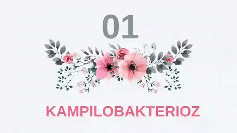 Kampilobakterioz. Yuqumli kasalliklar 3