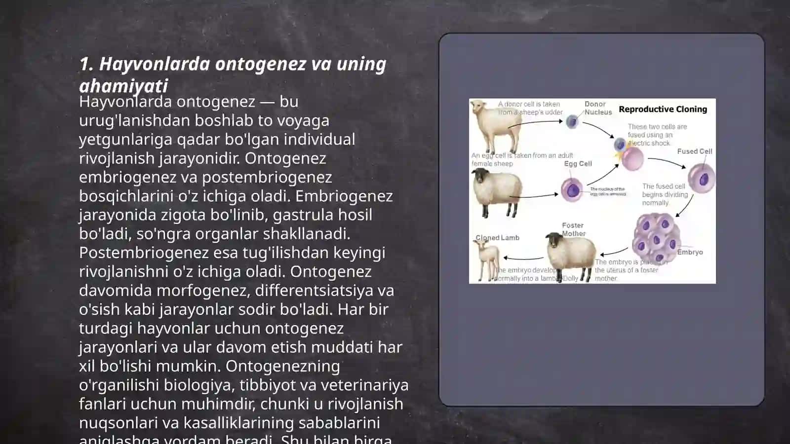 Ontogenezning genetik asoslari hayvonlarda 3