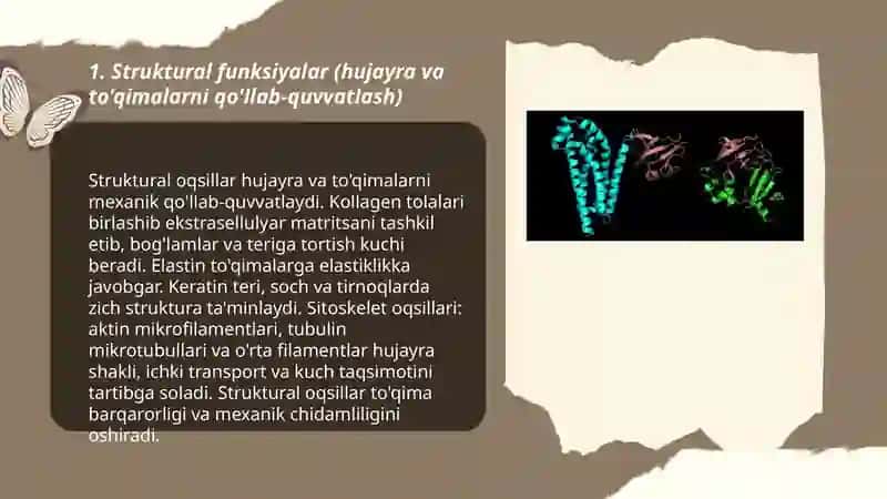 OQSILLARNING FUNKSIYALARI 3