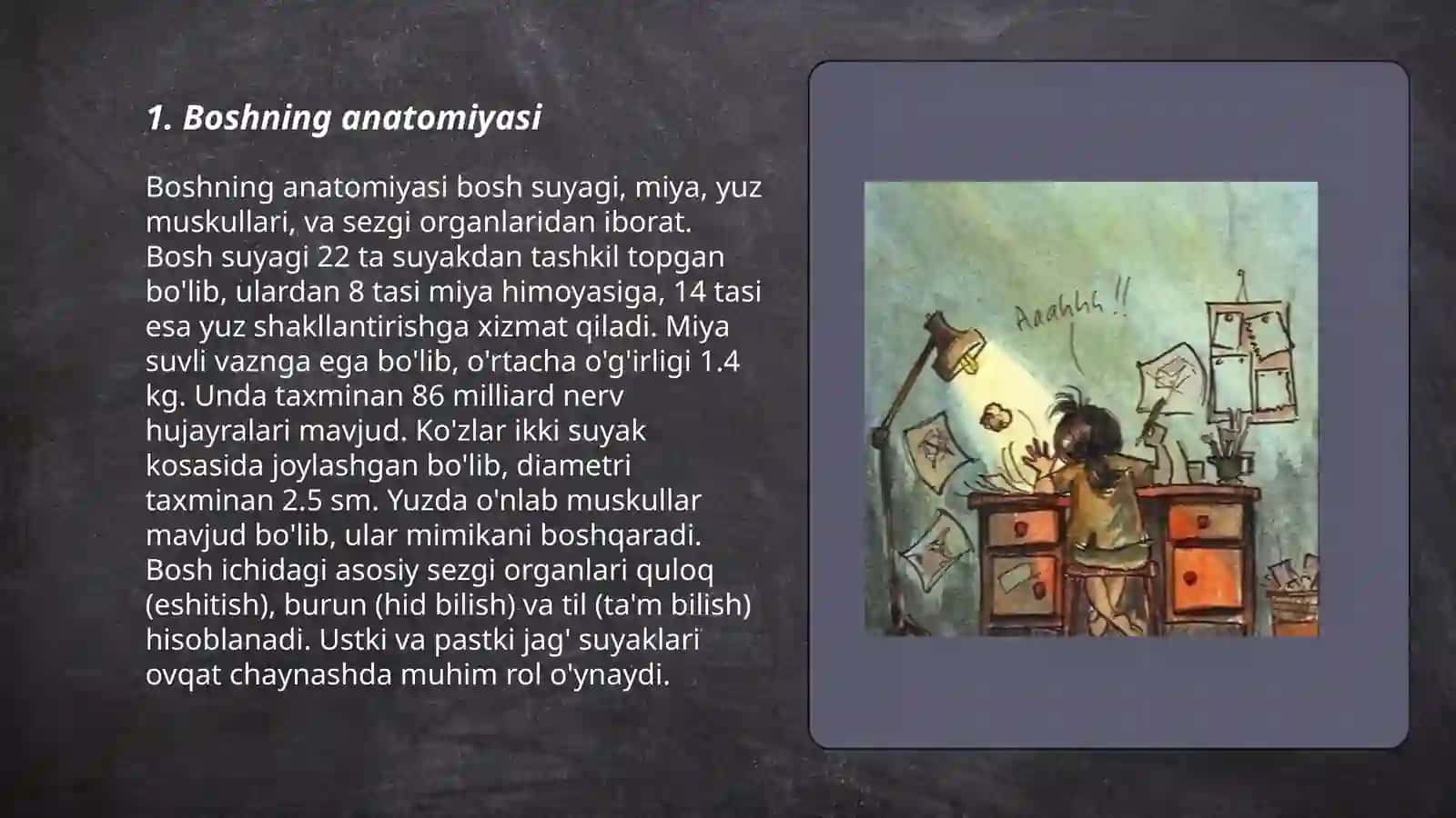 Bosh miya tuzilishi 3
