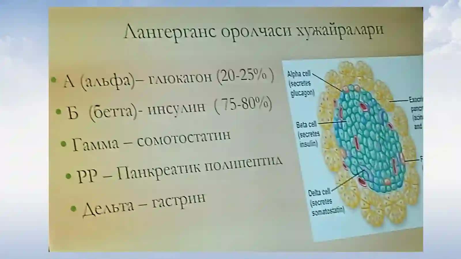 Инсулинотерапия 3