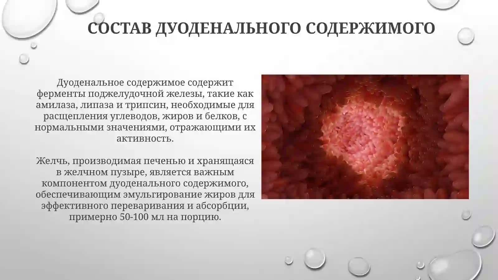 Интерпретация дуоденального сока 3