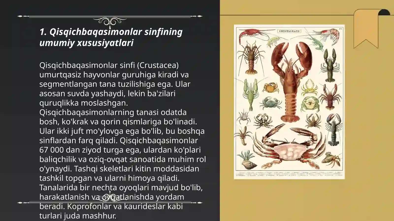 Qisqichbaqasimonlar sinfi 3