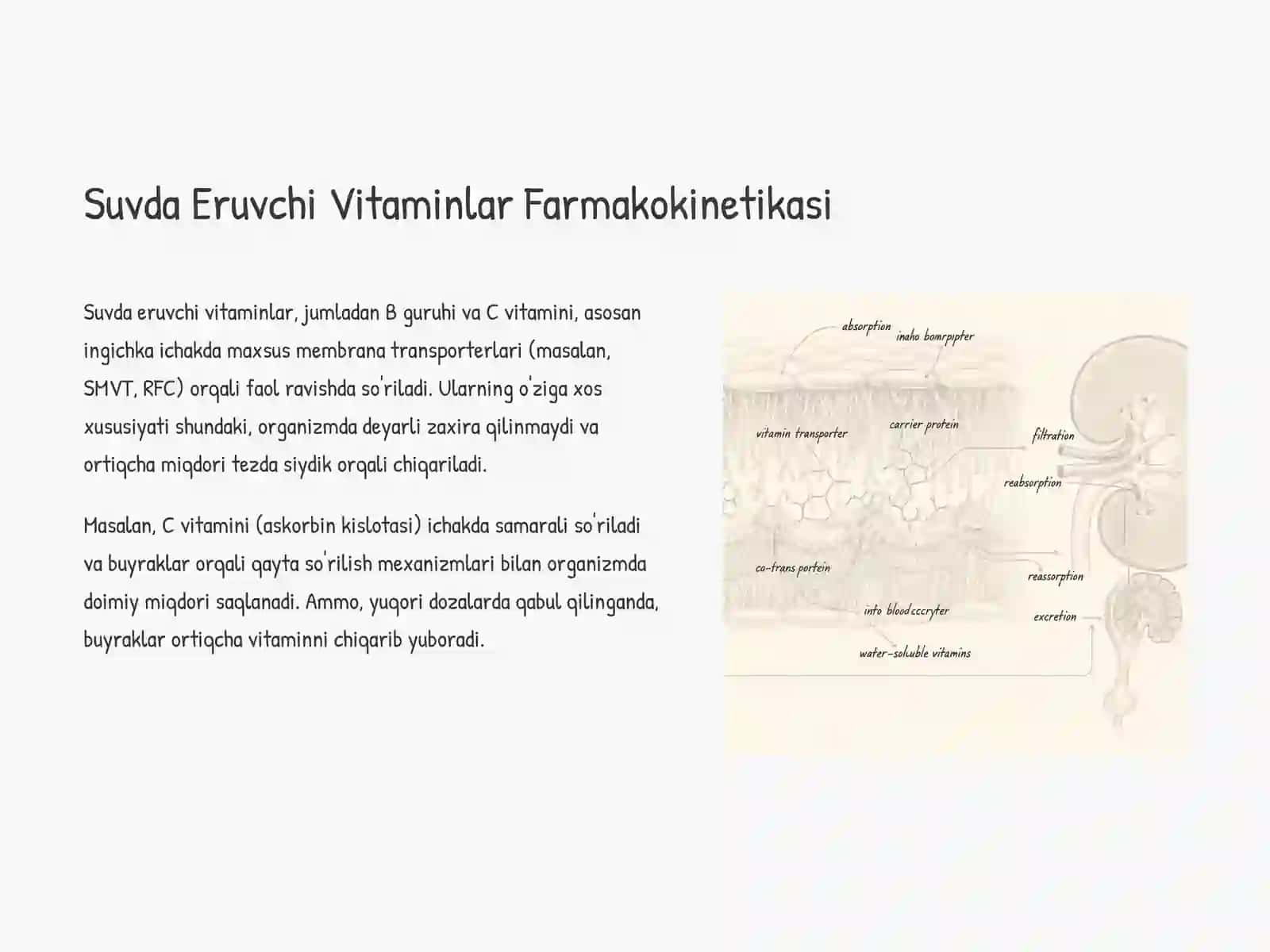Suvda va Yog'da Eruvchi Vitaminlar Farmakokinetikasi 3