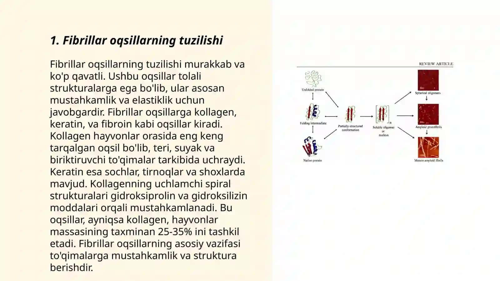 Fibrillar va globulyar oqsillar 3