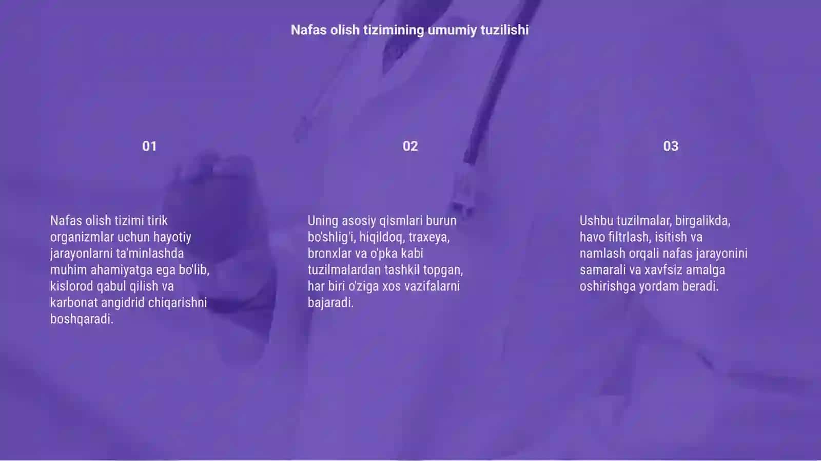 Nafas olish tizimi gistologiyasi 3