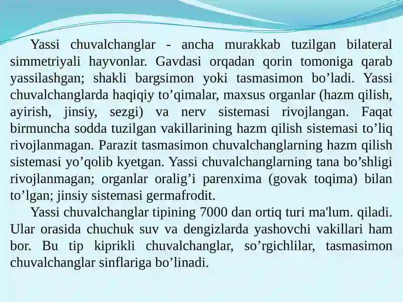 Yassi chuvalchanglar 3
