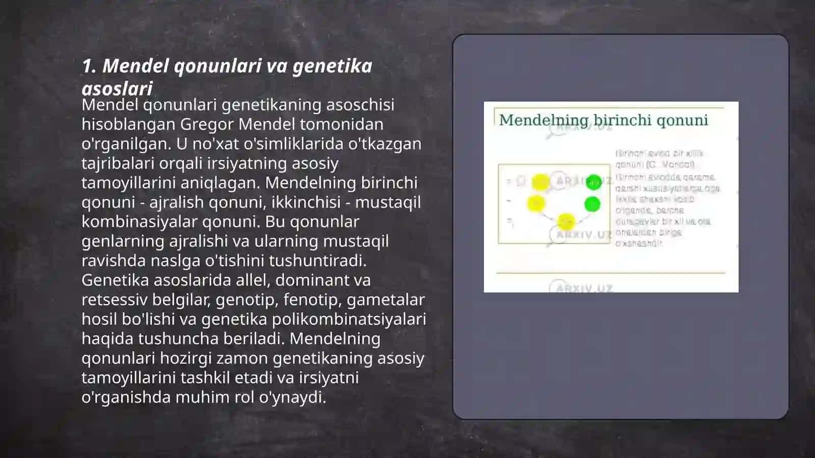 Mendelning 1 va 2 qonunlarining sitologik asoslari 3