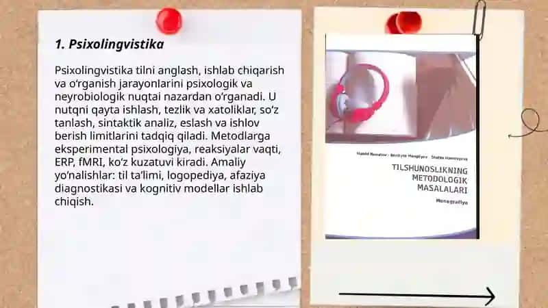 Tilshunoslikning yondosh yoʻnalishlari 3