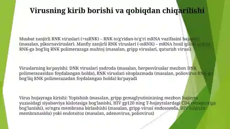 Virus gemonlaring replikatsiyasi transkripsiyasi 3