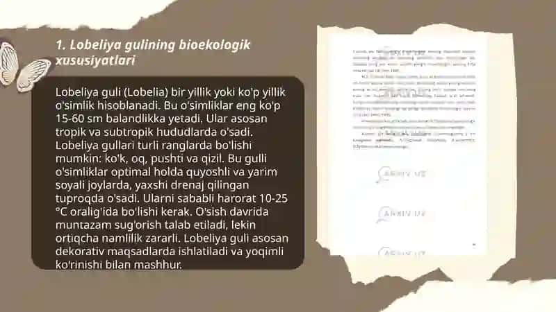Lobeliya gulini bioekologik hususiyati 3