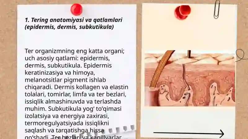 Ter fiziologiyasi 3