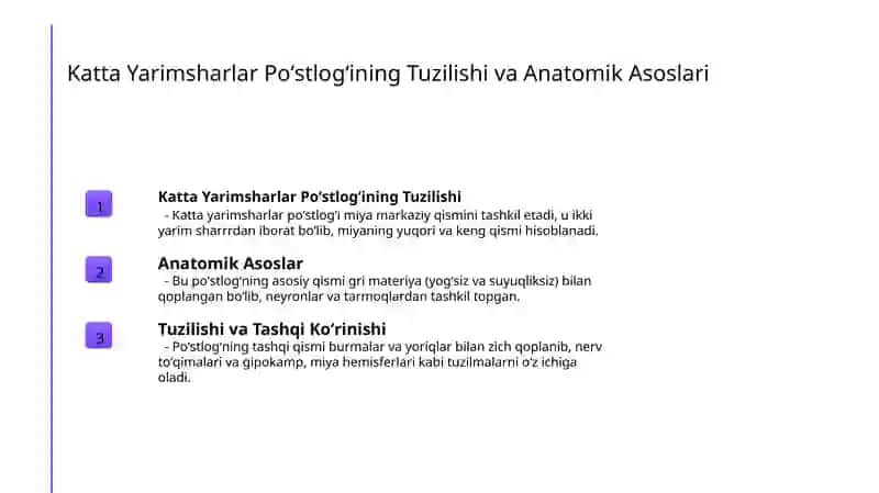Katta Yarimsharlar Poʻstlogʻining Tuzilishi 3
