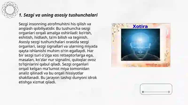 Sezgi haqida tushuncha 3