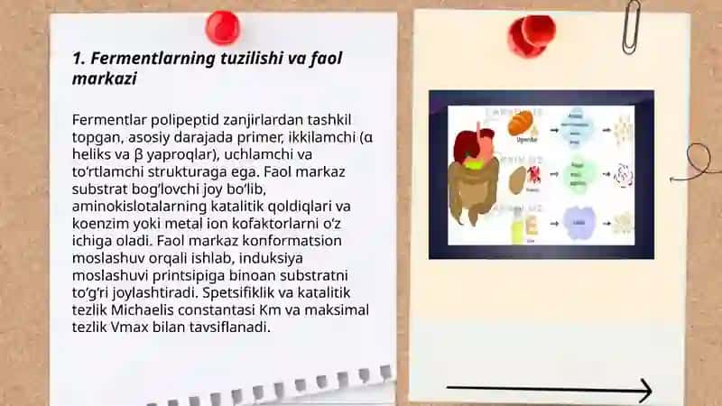 Fermentlar biokimyosi 3
