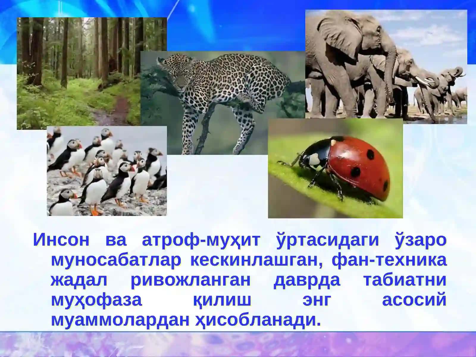 Табиий ресурслар таснифи 3