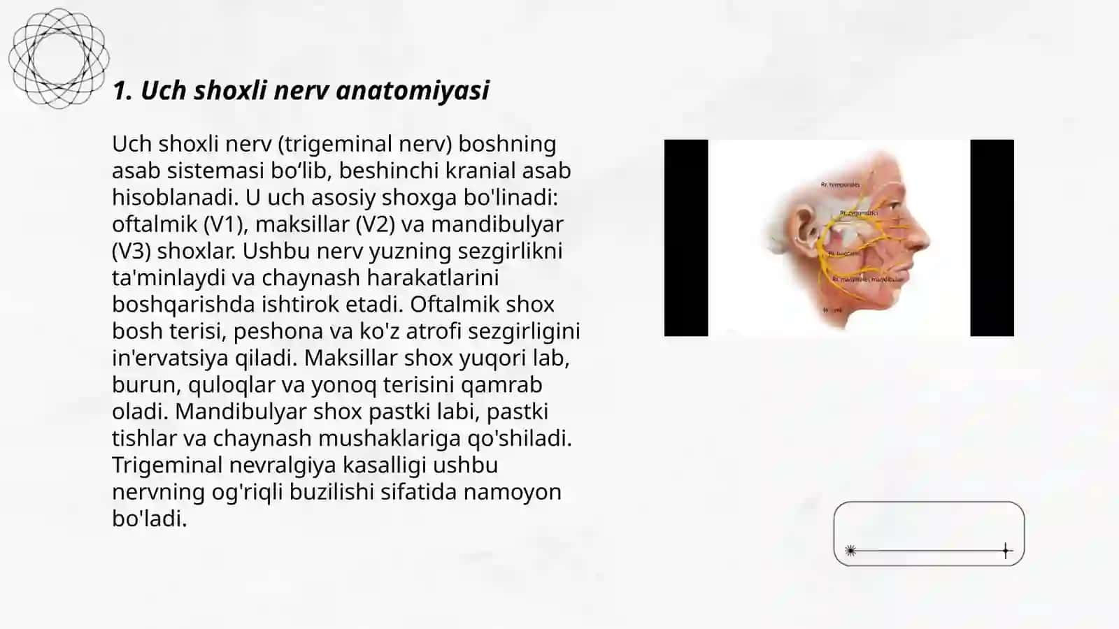 Uch shoxli nerv anatomiyasi 3