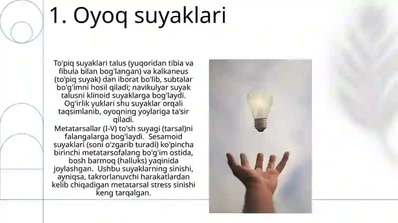 Oyoq suyaklari 3