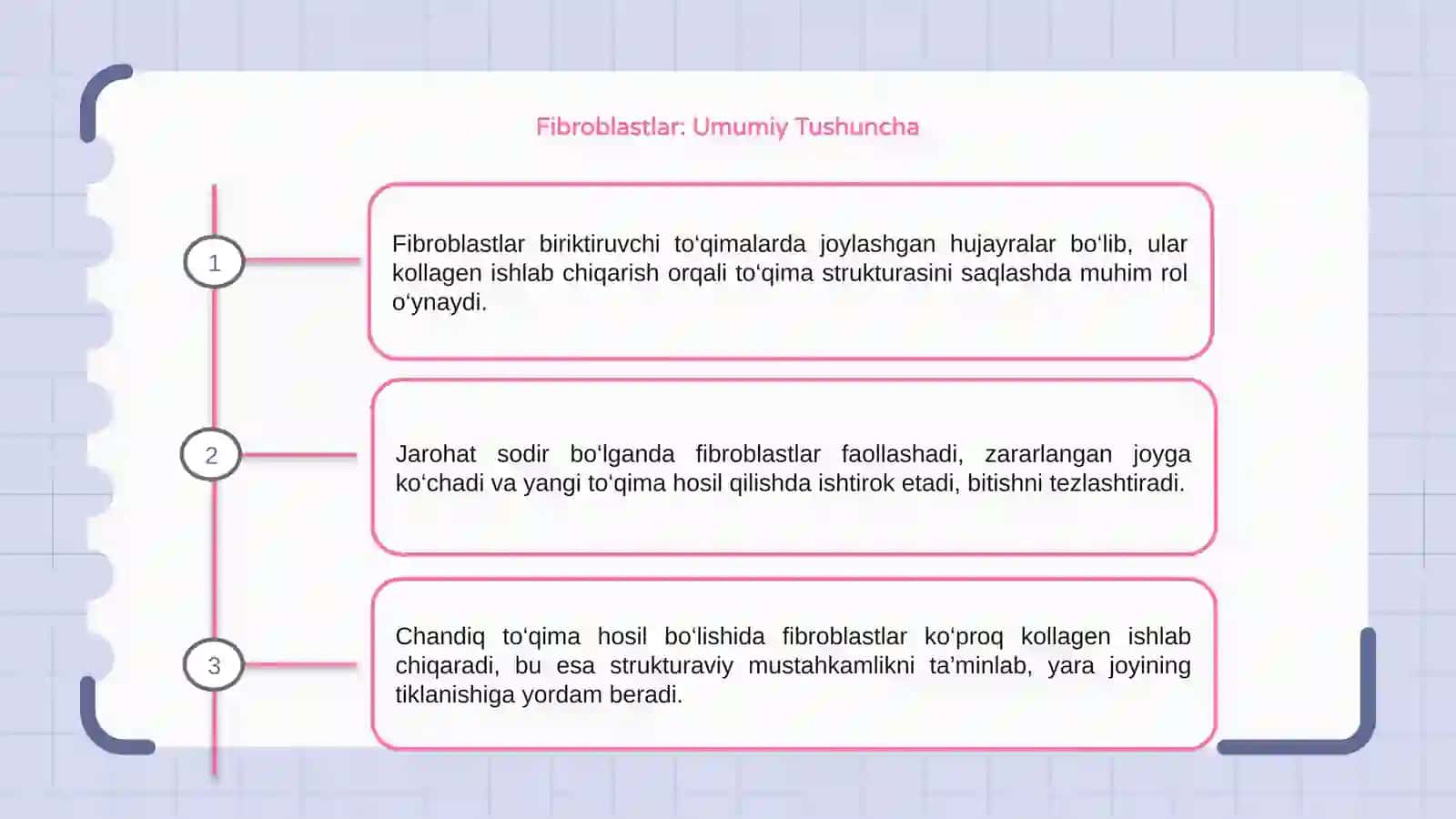 Fibroblastlarning jarohatning bitishi va chandiq xosil bo‘lishidagi roli 3