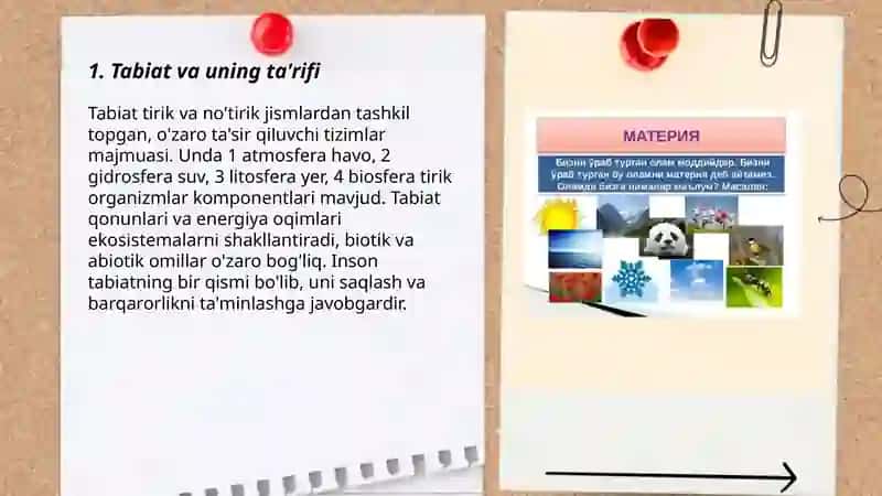Tabiat haqida asosiy tushunchalar va tabiat komponentlari 3