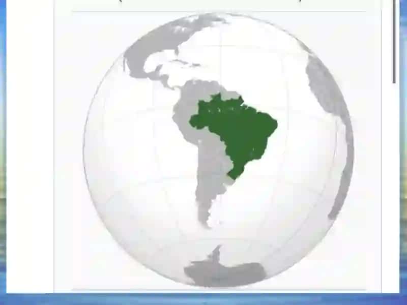 BRAZILIYA FEDERATIV RESPUBLIKASI 3