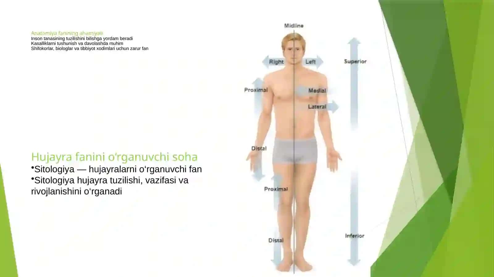 Anatomiyahaqidama‘lumot 3