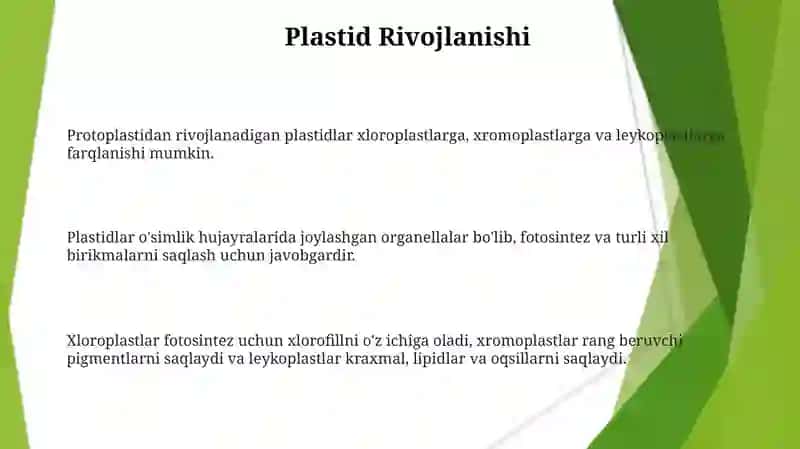 Plastidalar va ularning tuzilishi 3