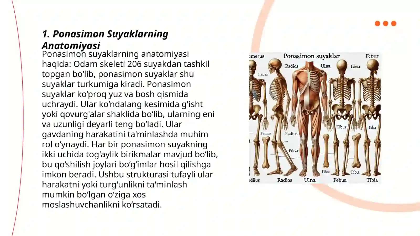 Ponasimon Suyak 3