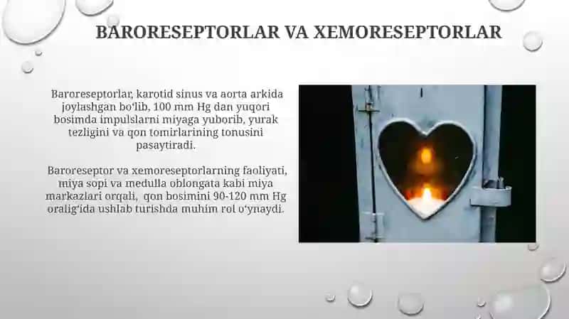 Qon bosimini tartibga solish mexanizmlari 3