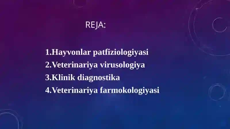 Turayev Elboyning malakaviy amaliyot taqdimoti 3