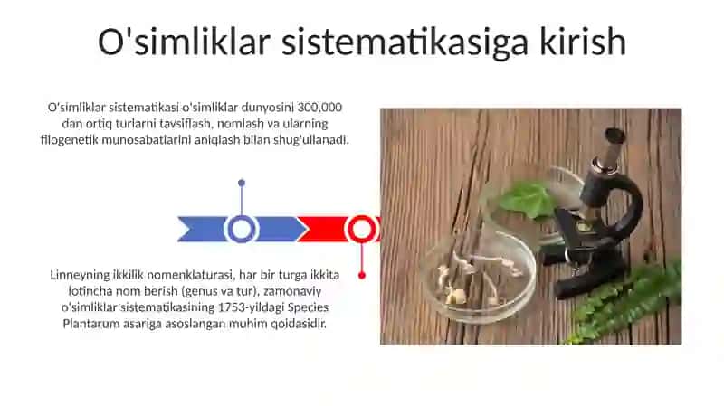 O'simliklar sistematikasi 3
