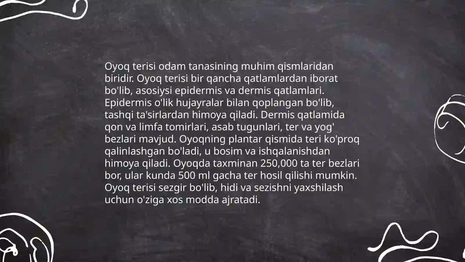 Oyoq terisini inervatsiyasi 3