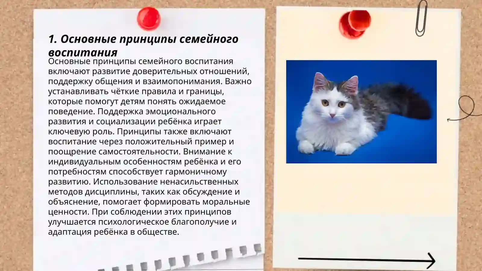 Основы семейного воспитания 3