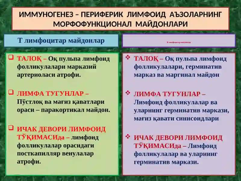 ИММУНОПАТОЛОГИК ЖАРАЁНЛАР 3