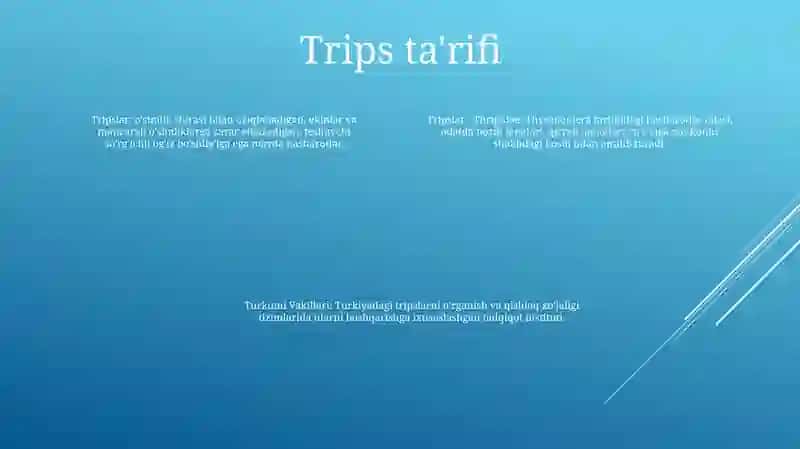 Tripslar - Thripidae Turkumi Vakillari 3