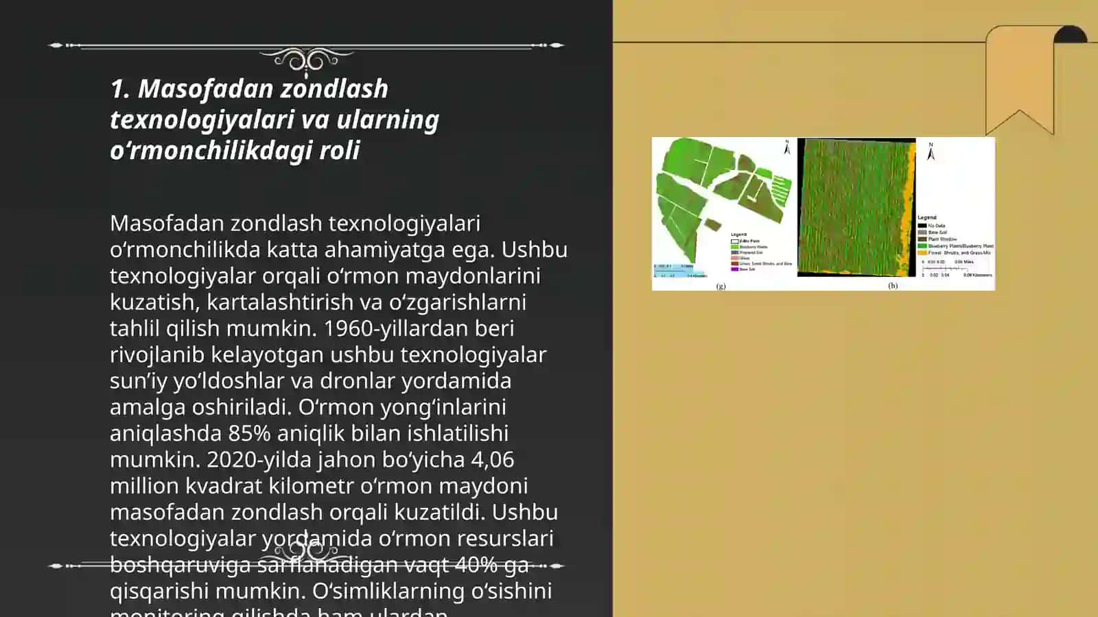 Masofadan zondlashning O‘rmonchilikda qo‘llanilishi 3